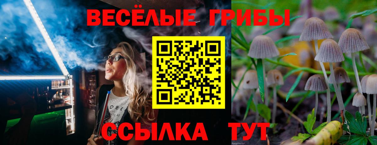 Псилоцибиновые грибы ЛСД Звенигород